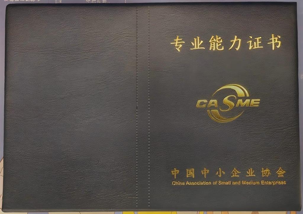 专业能力证书样本