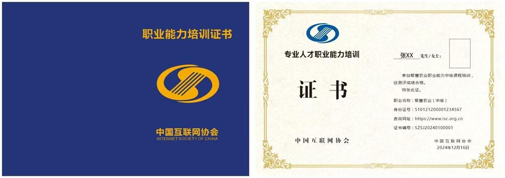 中国互联网协会职业能力培训证书样本